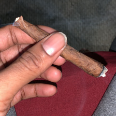 FNF FREESTYLE x SHAEELEE