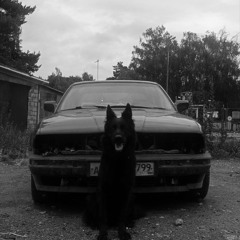 signals (super slowed)