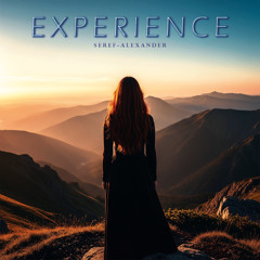 Experience