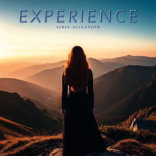 Experience