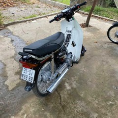 Nho Quan Phố Vol 5
