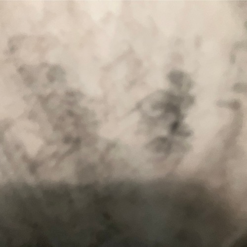 flight risk shorty #cybersonicwarfare