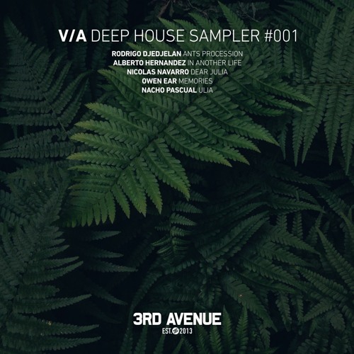 Alberto Hernandez (MX) - In Another Life [3rd Avenue]