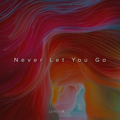 Never Let You Go