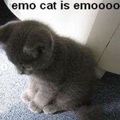 kan du ikke bli? (#_<-)