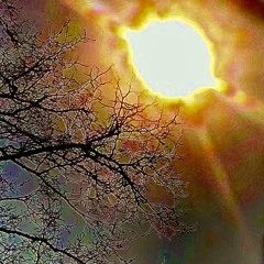 Soul Searching
