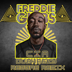 Freddie Gibbs - CIA (DubHeezy Reggae Remix)