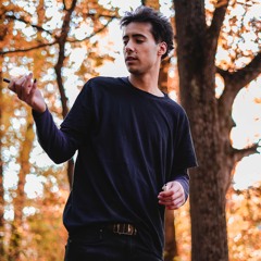 pre destined way technic tried