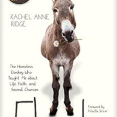 Get EBOOK 💕 Flash: The Homeless Donkey Who Taught Me about Life, Faith, and Second C