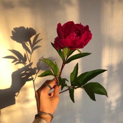 a ♥