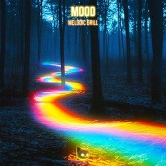 Mood (Melodic Drill Type Beat)