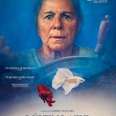 PELISFLIX¡-Ver » El sendero azul [2025] Película-[Completa] en Español& LATINO