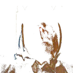 hạ kia