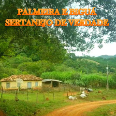 Catimbau