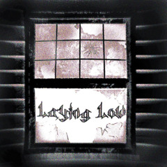 Laying Low (Prod. Goyxrd)