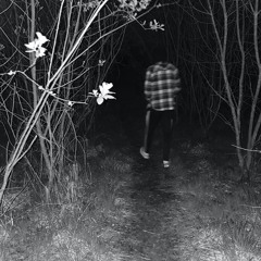 Loose Ends