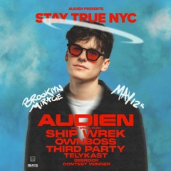 Audien Stay True NYC DJ Contest - Brotherhood