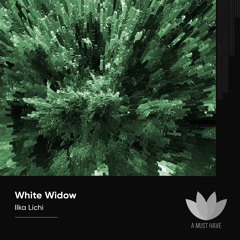 Ilka Lichi - White Space [A Must Have]