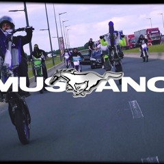 Beamer, Winnterzuko - MUSTANG