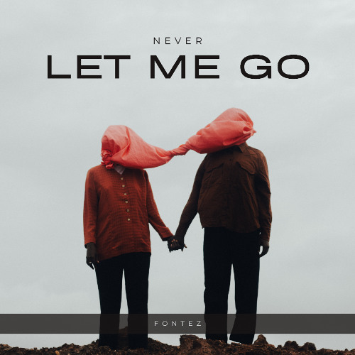 Fontez - Never Let Me Go (Original Mix)