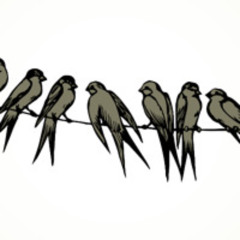 INTERACTION 116 p37 ELLIE IS STILL ILL Making friends when you have ME