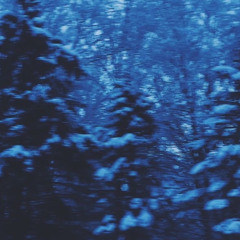 seishi9x-snow day (prod. Morversal + wokhardt)