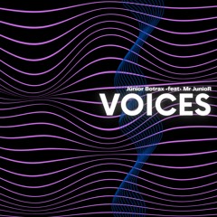 Voices(Extended)-Junior Botrax feat Mr JunioR