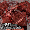 95OT_MIX SERIES_011_HERBALISTEK DJ mix artwork - Electronic music tracklist cover image
