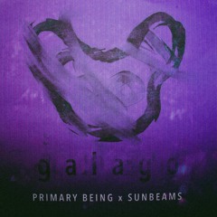 Primary Being X SUNBEAMS - Galago