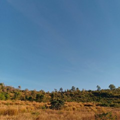 Slchld °i find peace in the rain°