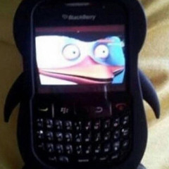 TU REPOND OU PAS LE TELPHONE SONNE DEPCHE ft Fleur Intestinale