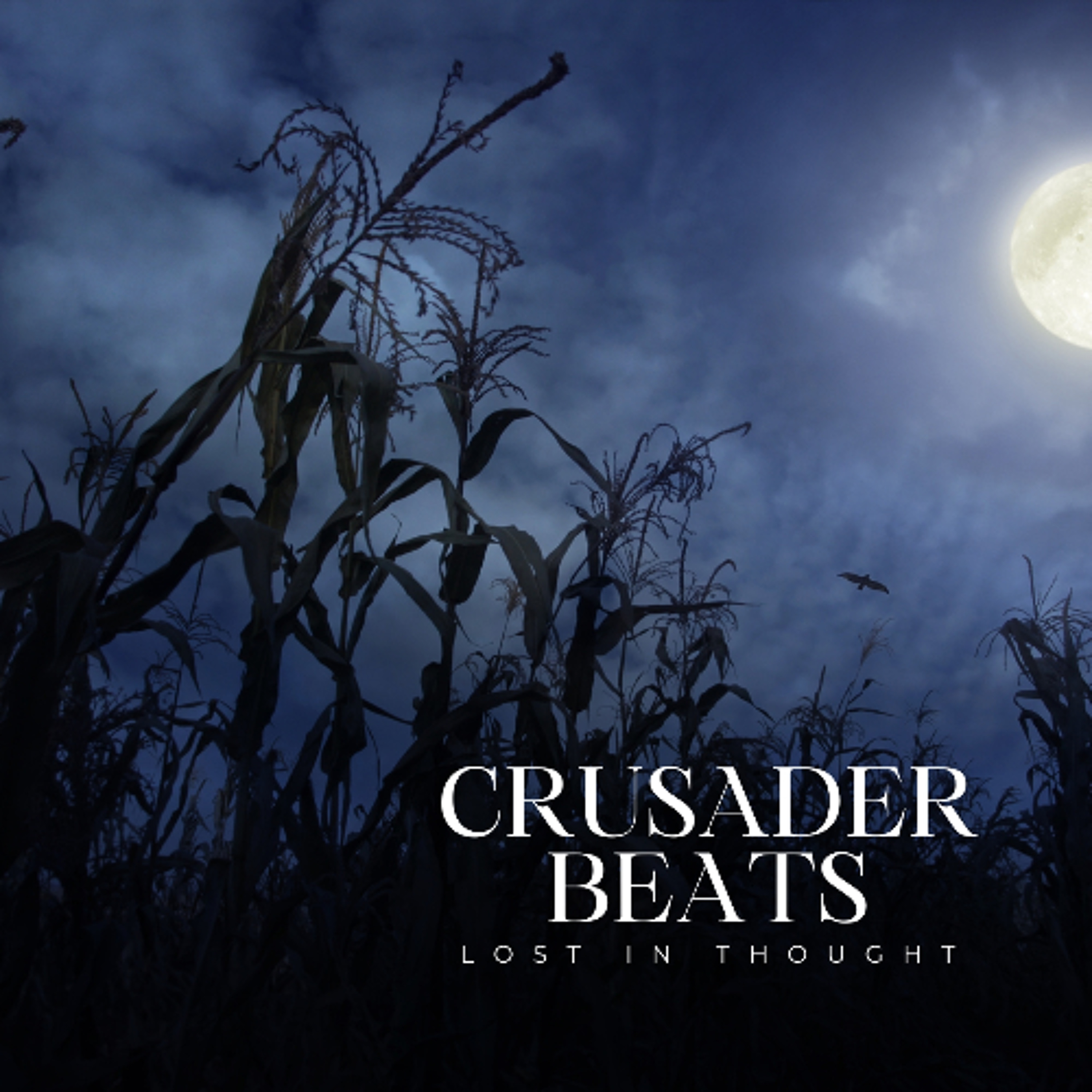 Lost In Thought – Emotional Piano Beat episode artwork