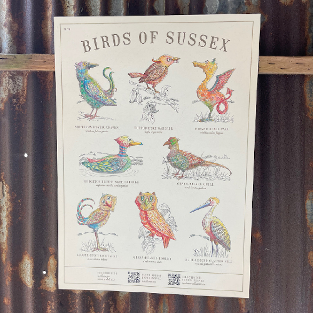 Fantastical Birds of Sussex