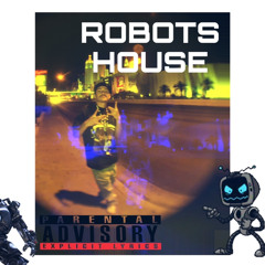 Senik- Robots House