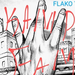 FLAKO&THE KAMP FAMILY -DISGUSSTING