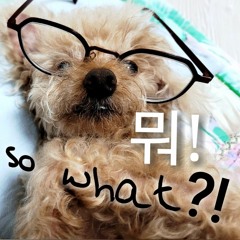 (demo) 뭐!