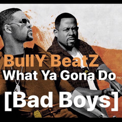 BullY BeatZ - What Ya Gona Do [Bad Boys]