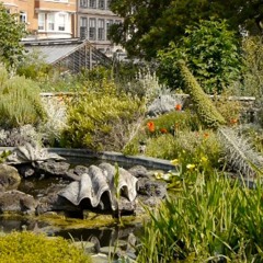 The Day We Were Butterflies In The Physic Garden