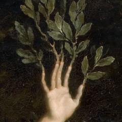 roots