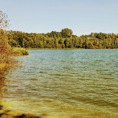 MoKo - Sunday Session