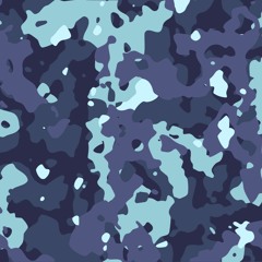 Camouflage