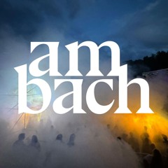 Fögel auf Ueli's Wiese  | Am Bach 2024 <(o )