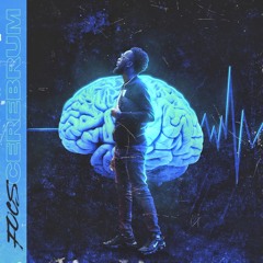 Cerebrum