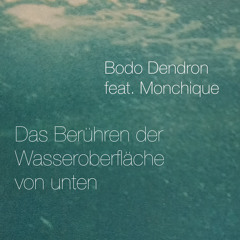 Das Berühren der Wasseroberfläche von unten (feat. Monchique)