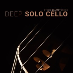 8Dio Solo Cello "Abandoned Beauty Seeker" By Lionel Schmitt