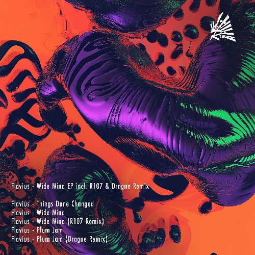 Flavius - Wide Mind EP Incl. R107 & Dragne Remix RCV018