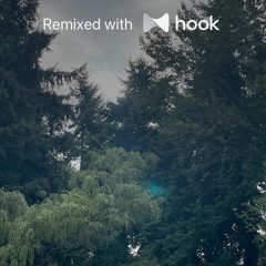 Luke Chiang - Never Tell (@luckycharm Hook Remix)