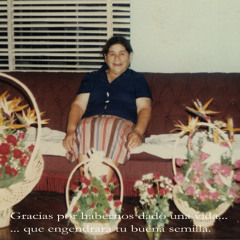 Historia de Mama 2