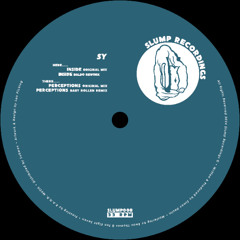 PREMIERE: SY - Inside (Baldo Rework)