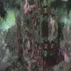 bag taalk p. d8cember